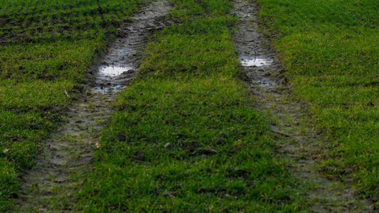 Is Your Soil Draining Too Fast or Too Slowly? How to Tell - World's Coolest Rain Gauge Co.