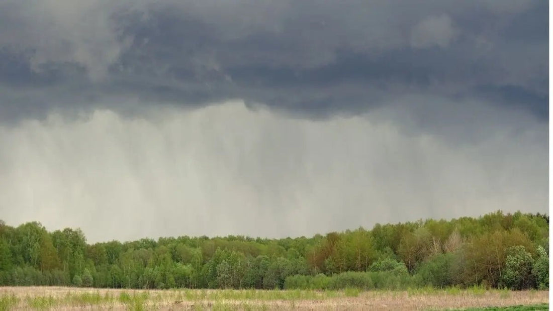 Measuring Rainfall Ater A Summer Thunderstorm - World's Coolest Rain Gauge Co.