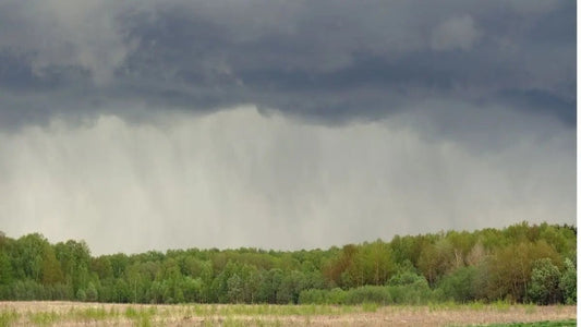Measuring Rainfall Ater A Summer Thunderstorm - World's Coolest Rain Gauge Co.