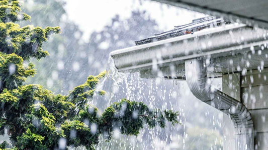 Rain Shadow Effects in Your Garden: How Homes, Trees, and Fences Can Reduce Rainfall - World's Coolest Rain Gauge Co.