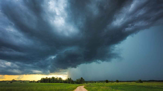 Rainfall Intensity vs. Rainfall Totals: Why Both Matter in the Garden - World's Coolest Rain Gauge Co.