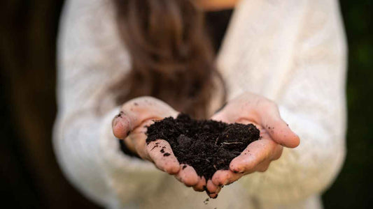 Should You Make Your Own Compost or Buy It? - World's Coolest Rain Gauge Co.