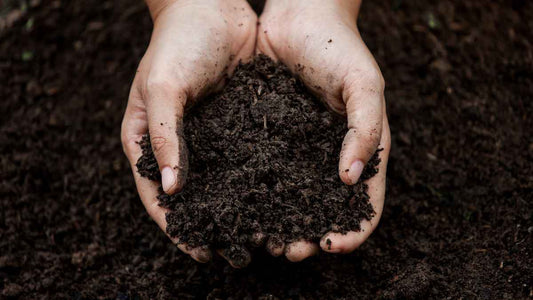 Soil Health: A Complete Guide for Gardeners - World's Coolest Rain Gauge Co.