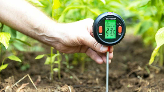 Soil Temperature: The Hidden Factor That Affects Planting, Watering, and Garden Health - World's Coolest Rain Gauge Co.