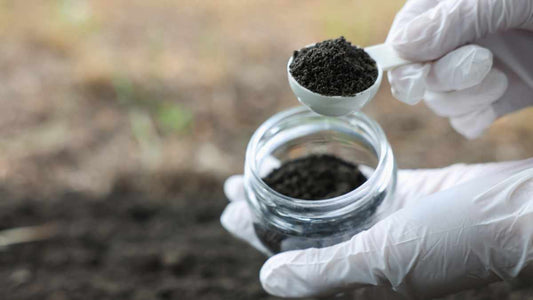 Soil Testing for Gardeners: What to Test, What It Means, and What to Do Next - World's Coolest Rain Gauge Co.