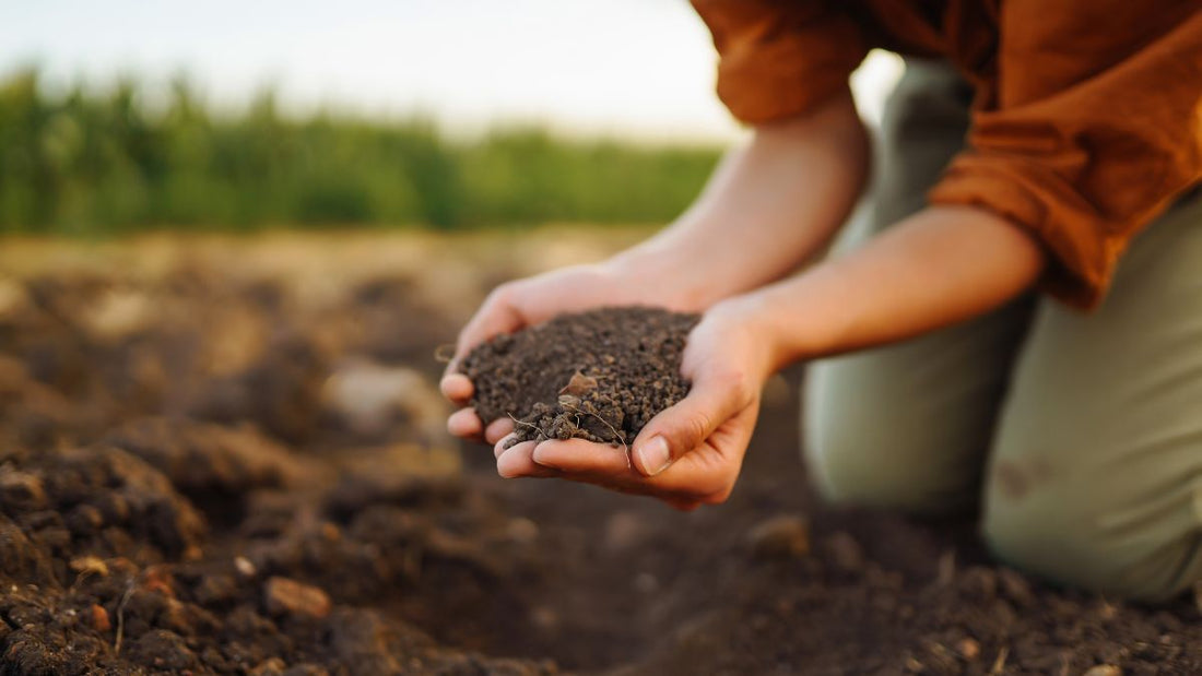 woman kneeling and holding garden soil