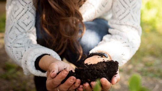 The Best Soil Conditioners for Healthier Garden Soil - World's Coolest Rain Gauge Co.
