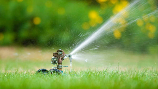 The Best Way to Water Your Lawn (And Why Every Homeowner Needs a Rain Gauge) - World's Coolest Rain Gauge Co.