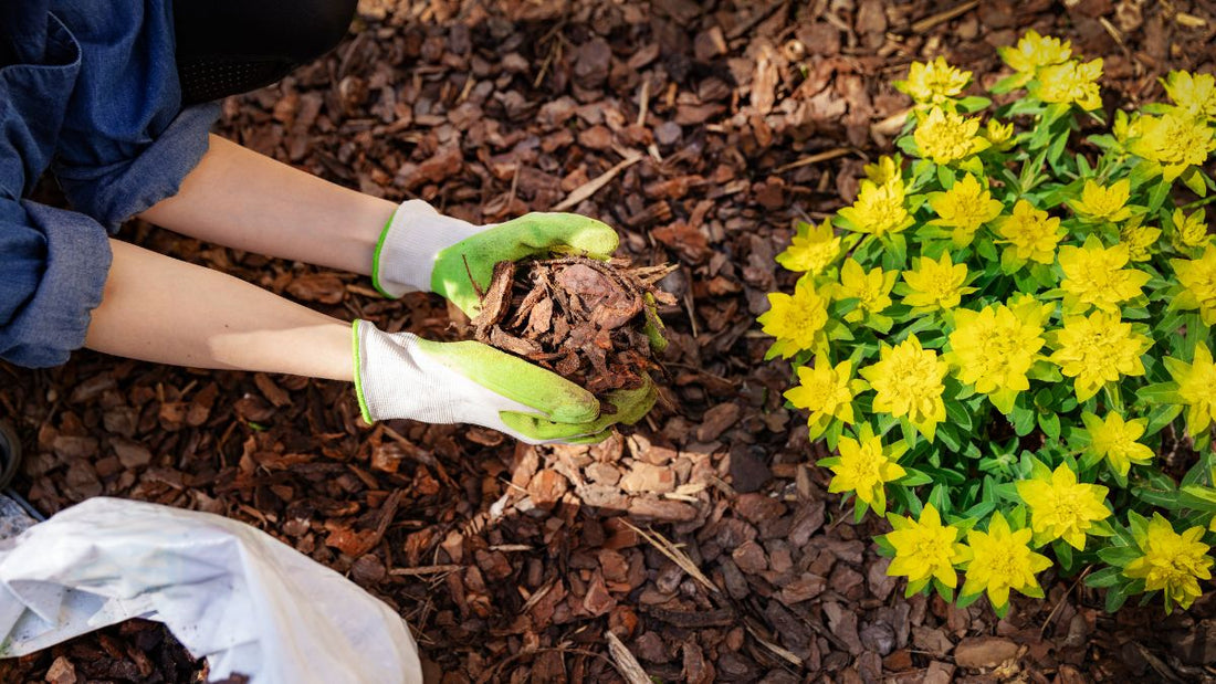 The Complete Guide to Garden Mulch: Benefits, Types, Tips, and Common Mistakes - World's Coolest Rain Gauge Co.