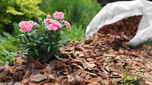 The Hidden Life Beneath Mulch - World's Coolest Rain Gauge Co.
