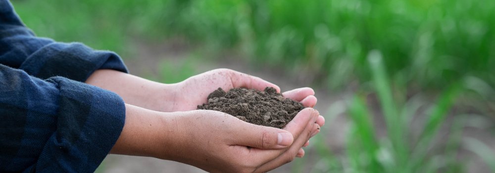 The Secret Underground World of Your Garden: A Guide to Using Soil Test Kits - World's Coolest Rain Gauge Co.