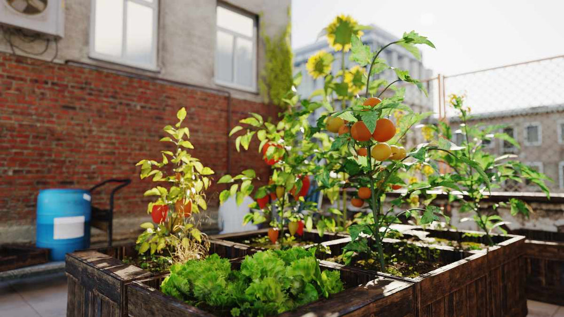 Urban Gardening: Unique Challenges for Watering, Sunlight, and Plant Health - World's Coolest Rain Gauge Co.
