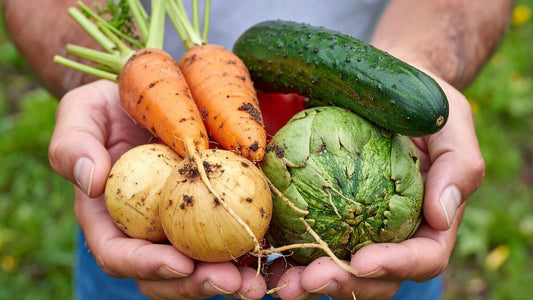 Vegetable Gardening for Beginners: Simple Tips for a Successful First Garden - World's Coolest Rain Gauge Co.