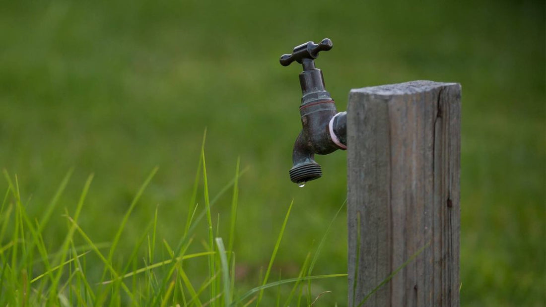 outdoor water spigot in lawn setting