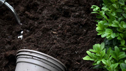 What Is Humus? The Secret Ingredient in Healthy Garden Soil - World's Coolest Rain Gauge Co.