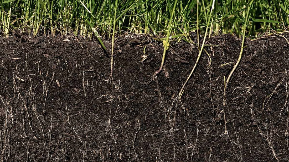 What Is Soil Tilth? Understanding the Secret to Healthy Garden Soil - World's Coolest Rain Gauge Co.