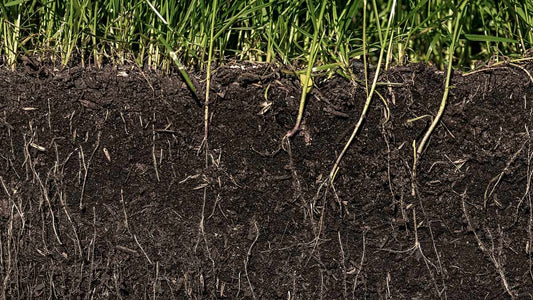 What Is Soil Tilth? Understanding the Secret to Healthy Garden Soil - World's Coolest Rain Gauge Co.