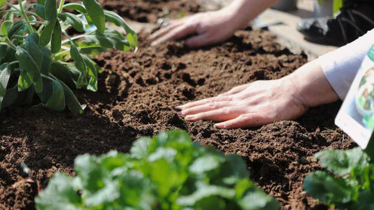 What Lives in Healthy Soil? Exploring the Soil Food Web - World's Coolest Rain Gauge Co.