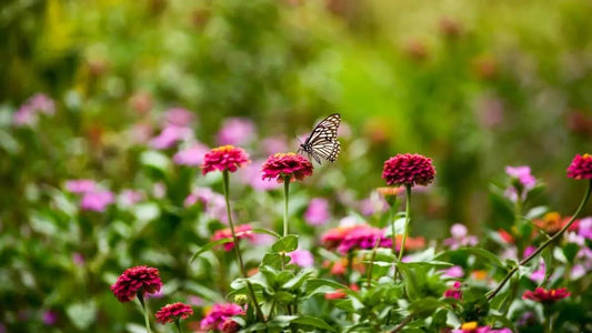 Why Your Chaos Garden Still Needs A Rain Gauge - World's Coolest Rain Gauge Co.