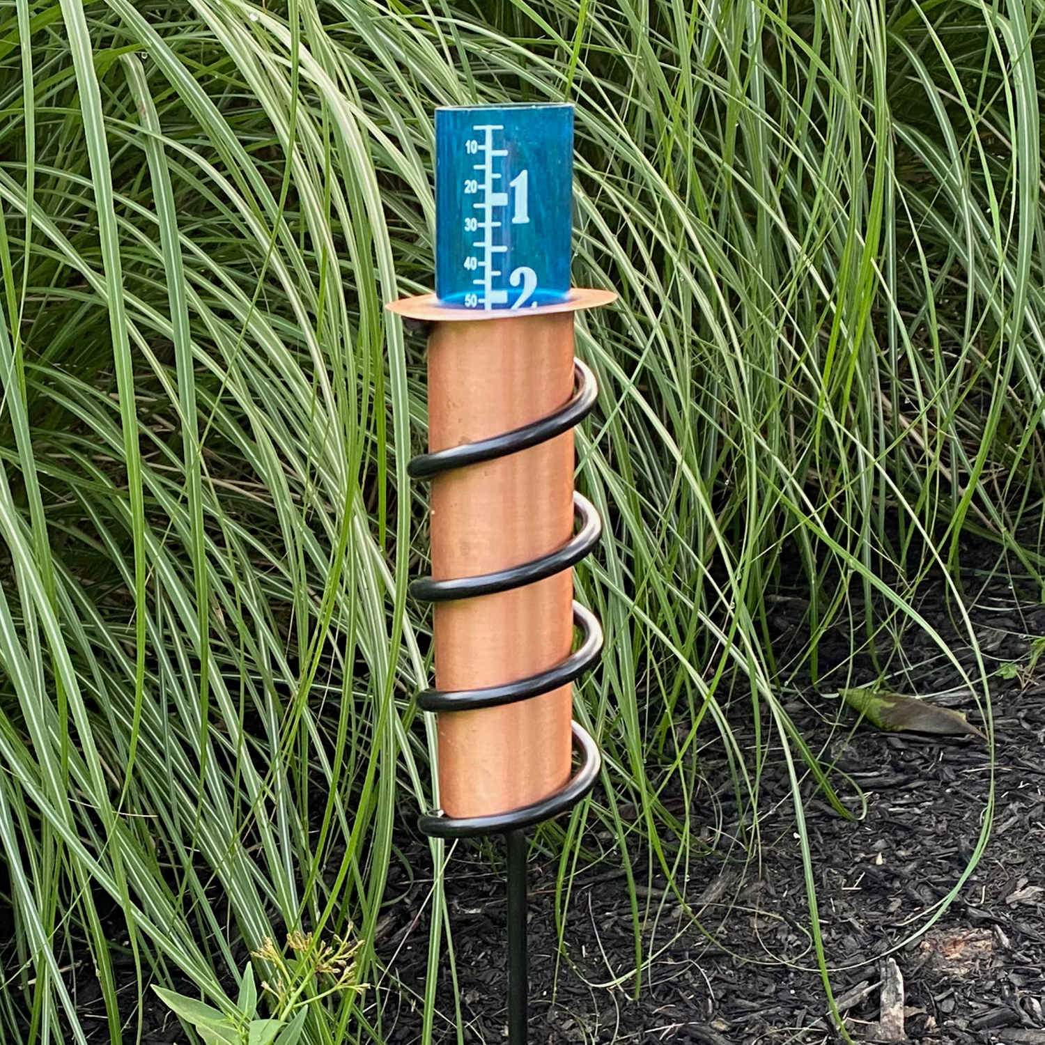 measure_rain_ornamental_grass