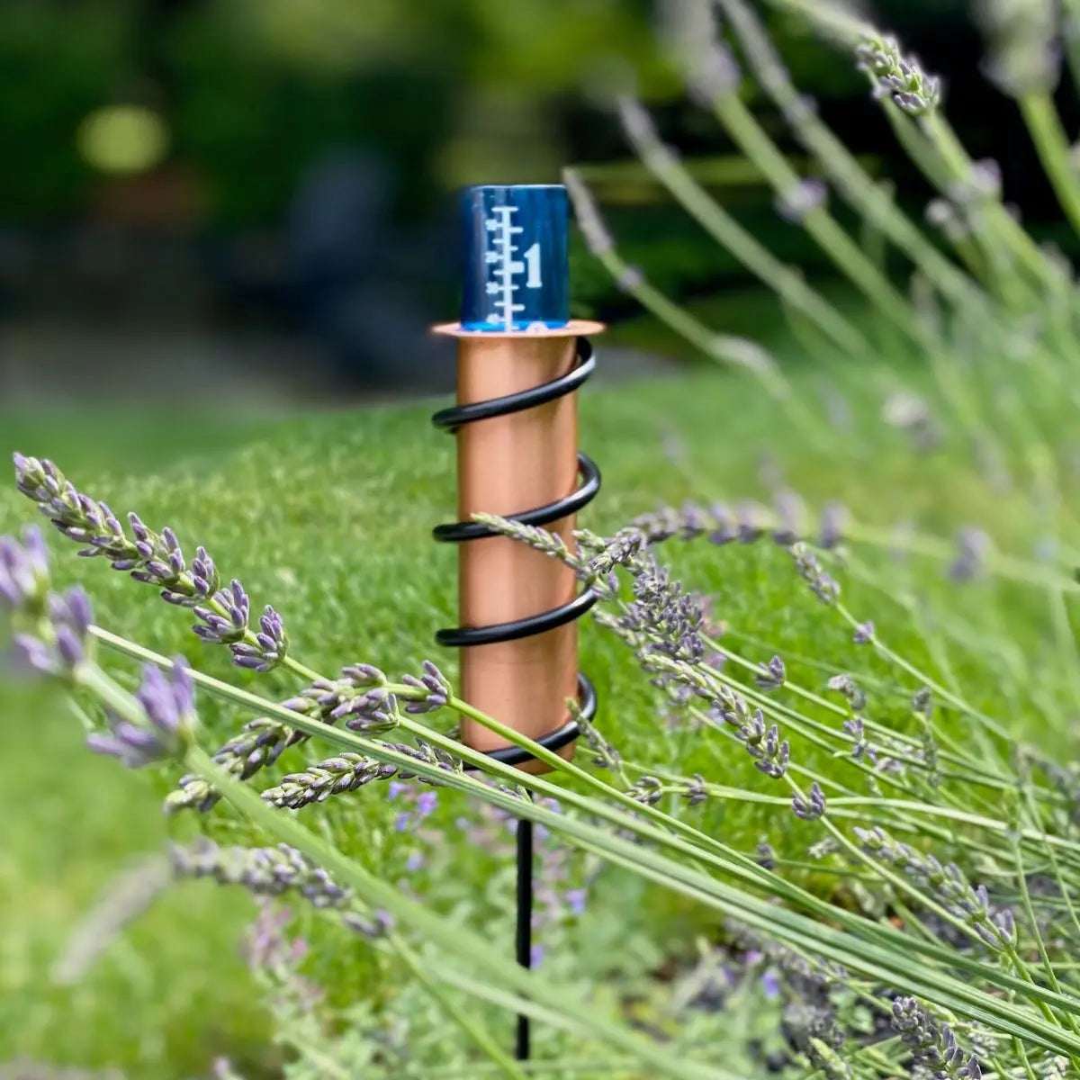 Solid Copper Rain Gauge – 24" Garden Stake – Winter Safe - World's Coolest Rain Gauge Co.