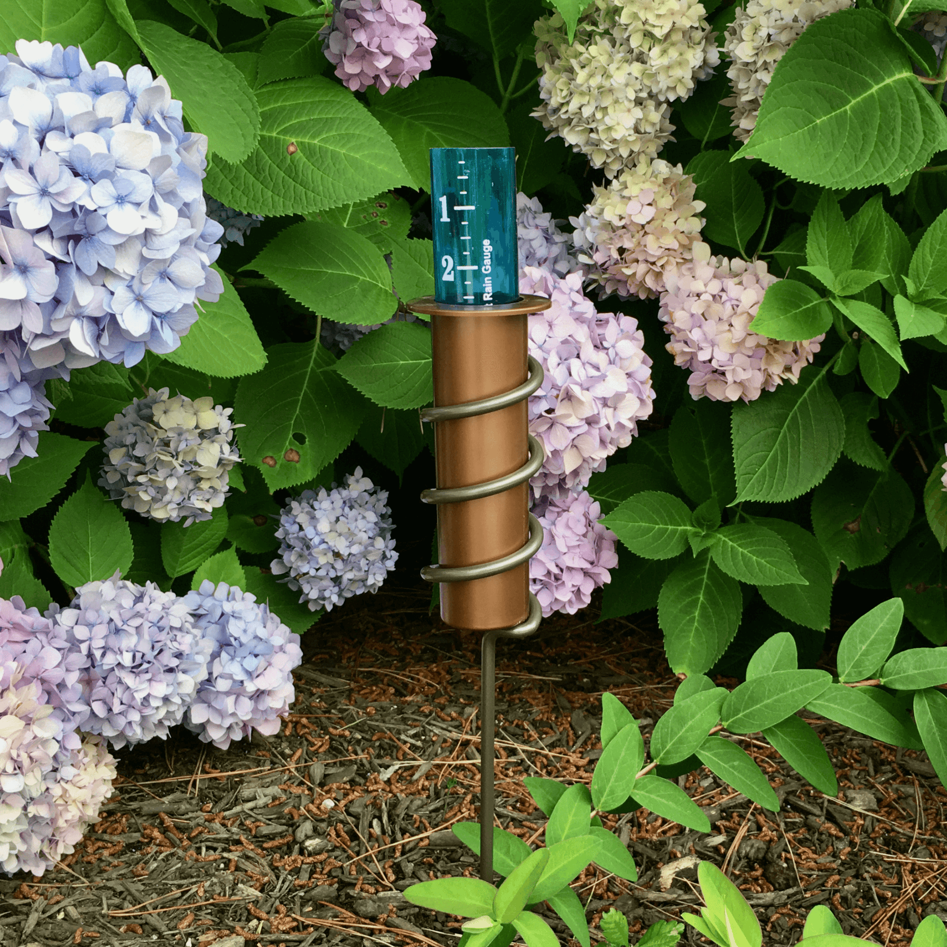 Resin Rain Gauge In Hydrangeas